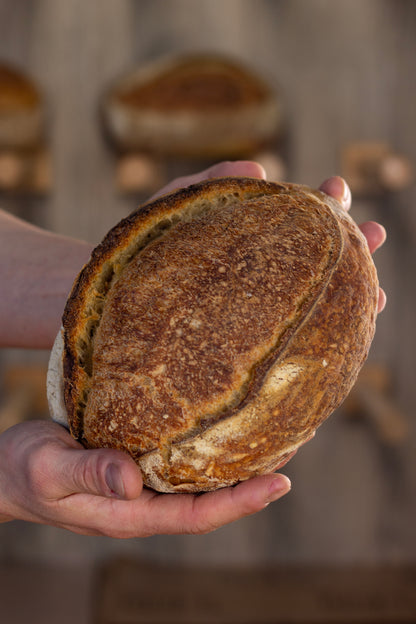 Pane di Grano Duro Siciliano